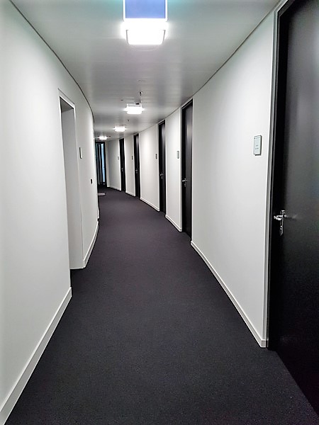 Pollux Hauckschuchardt 9